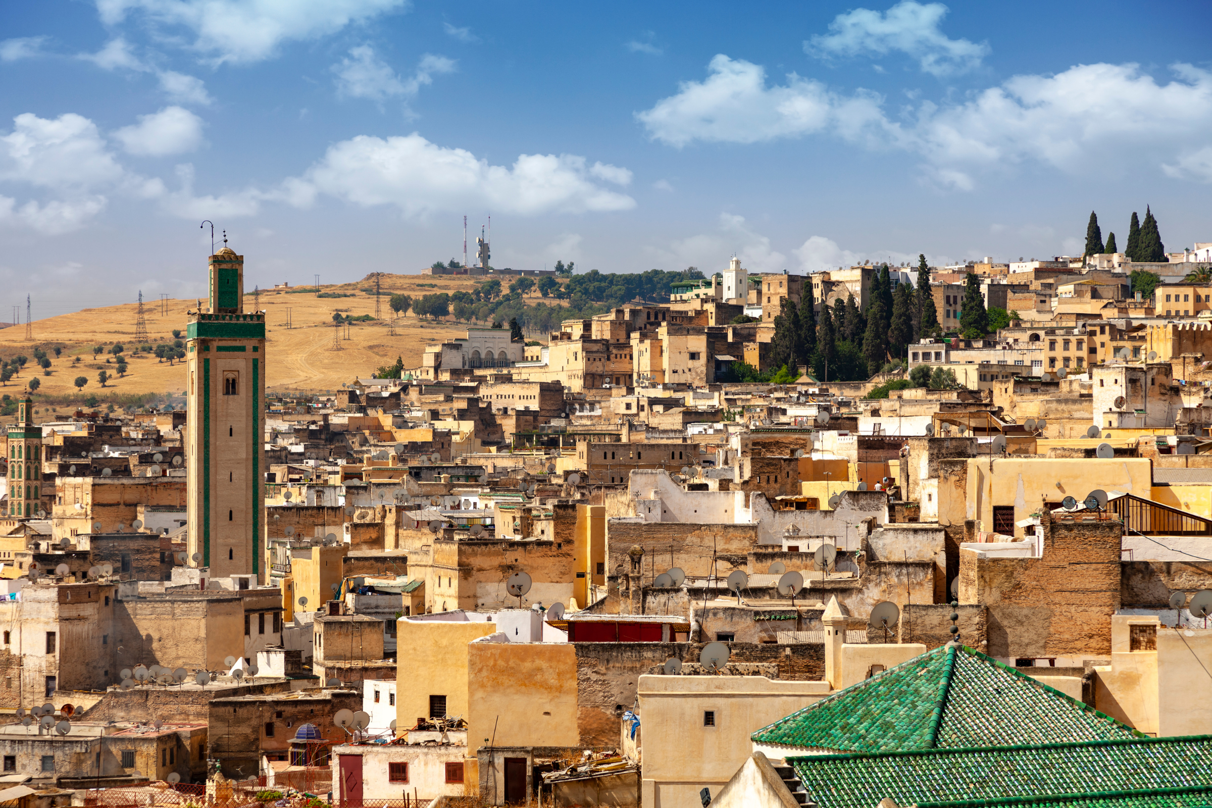 fez (3).webp